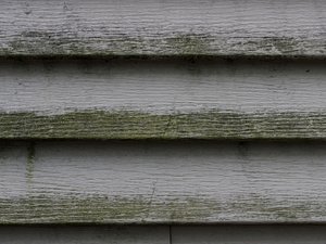 Do You Know How Old Is Your Home’s Siding in Larkspur, California?
