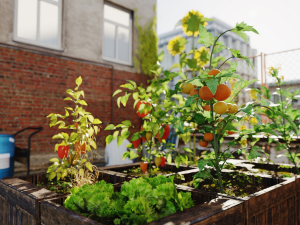 Petaluma roofing and rooftop garden maintenance tips in autumn