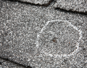 Close-up of damaged shingles on a Marin County roof