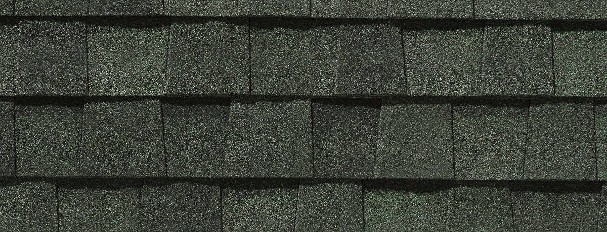 Northern Pacific Roofing Images