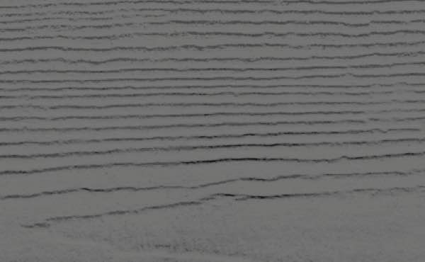 Northern Pacific Roofing Images