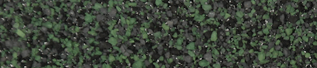 Northern Pacific Roofing Images